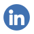 Expert Icon